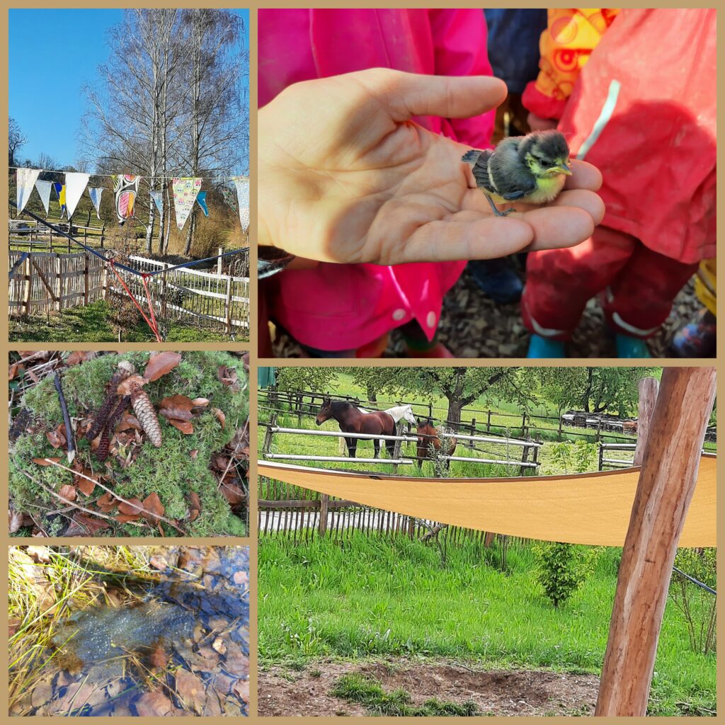 Naturkindergarten am Bergwald