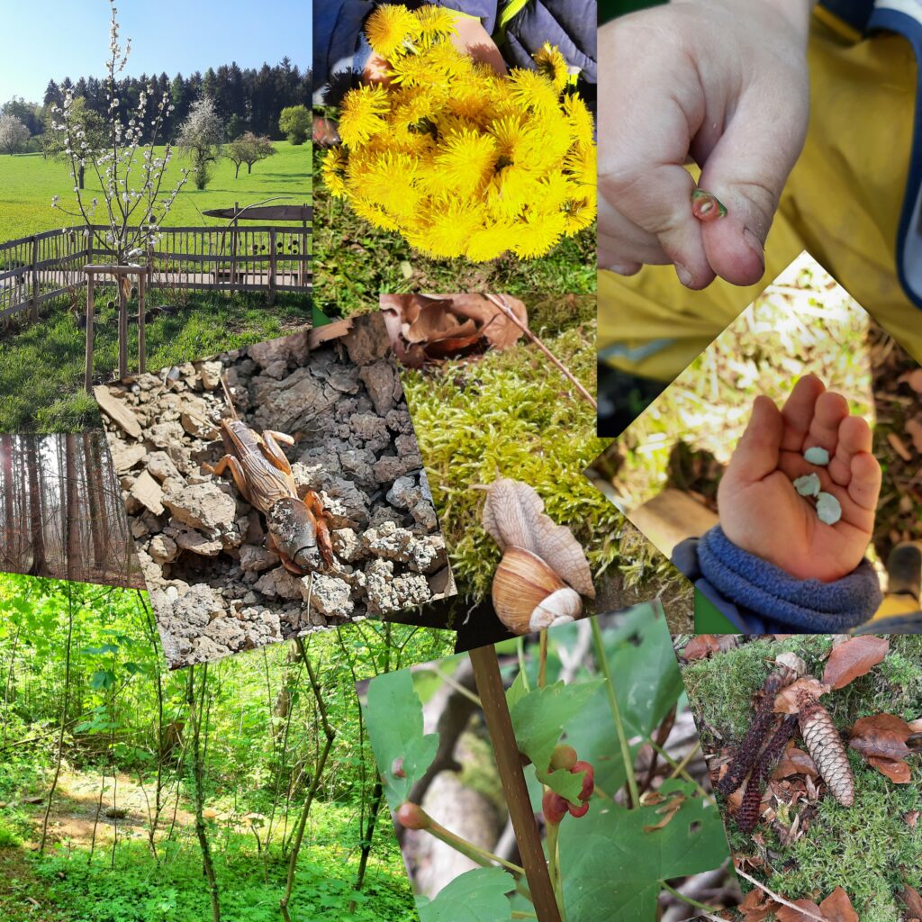 Naturkindergarten am Bergwald