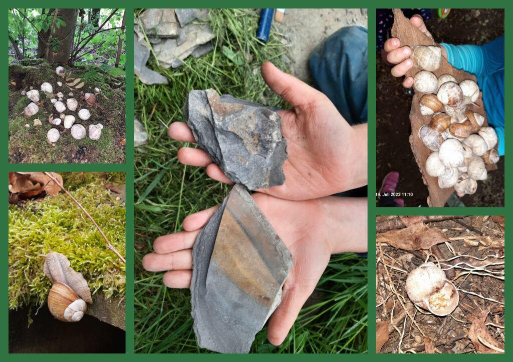 Naturkindergarten am Bergwald